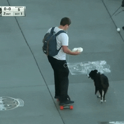 Genius dog likes to skate too
