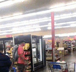 Dog spotted shopping at the supermarket